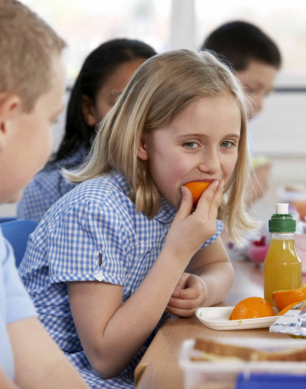 With such variety on offer kids of all ages can have fun choosing a lunch box and bottle. With such variety on offer kids of all ages can have fun choosing a lunch box and bottle.